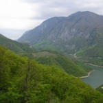 O petrecere în gradina